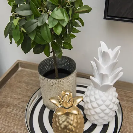 Urban Skin Apartamento *